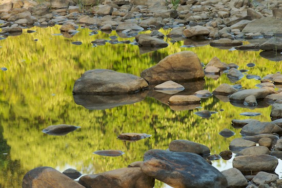 Abstract;Abstractions;Alabama;Boulder;Brook;Brown;Creek;Fort Payne;Geological;Geology;Green;Little River Canyon National Preserve;Patterns;Reflection;Reflections;River;River Bed;Riverbed;Rivers;Rock;Rock Formations;Rocks;Shapes;Stone;Stones;Stream;Striation;Tan;Textures;water;Water;waterway